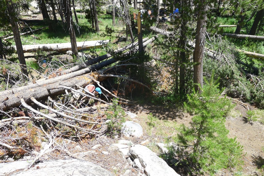 YosemiteCreek 001